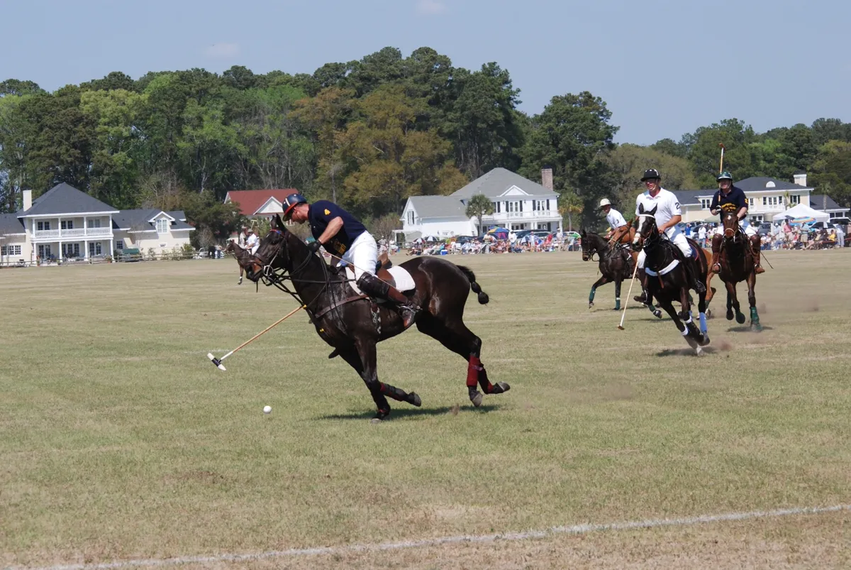 Historic polo action in the Lowcountry