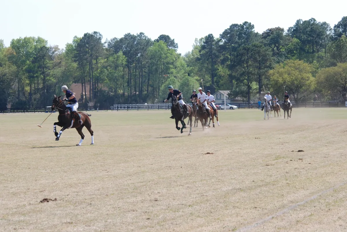 Historic polo match at Rose Hill Plantation