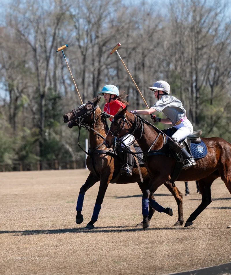 Two polo players battling for the ball with mallets raised