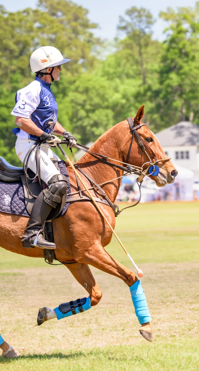 Polo rider on horseback at Rose Hill Equestrian Center in the South Carolina Lowcountry