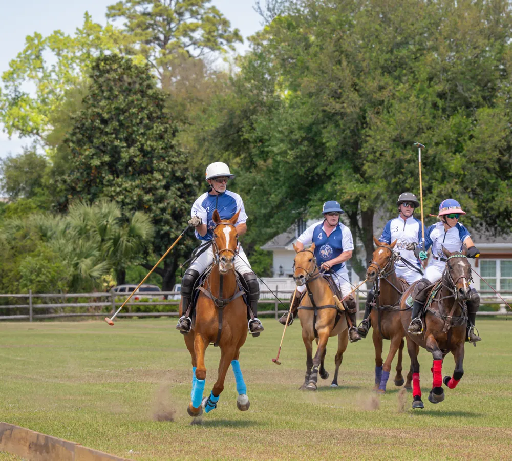 Polo riders advancing down the field at the Rose Hill Charity Polo Match
