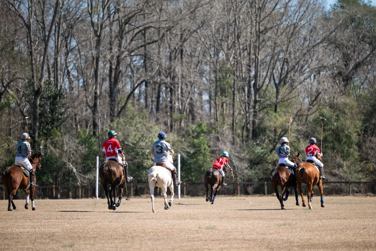 Polo teams racing down the field at Rose Hill