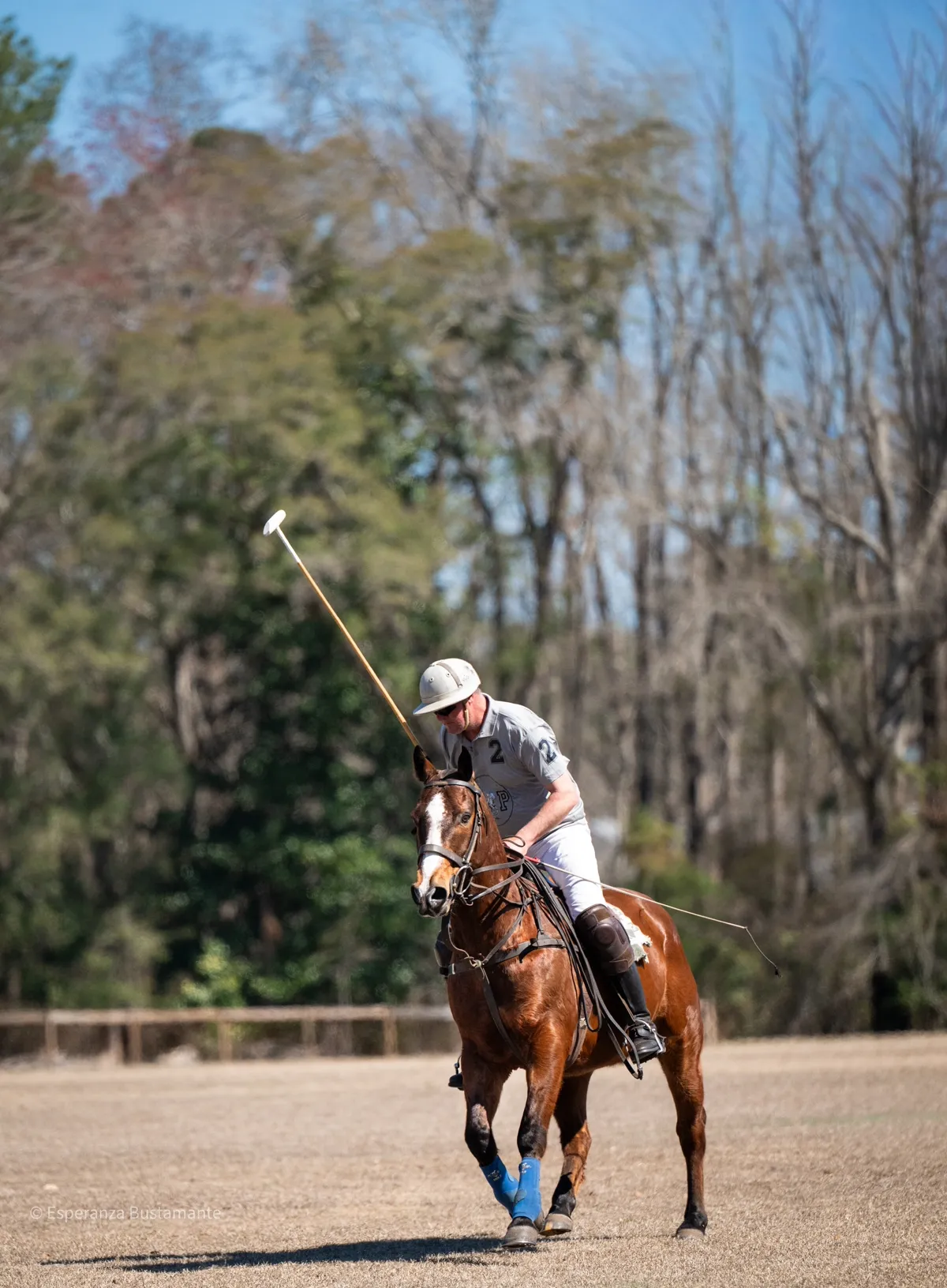 Polo player swinging mallet on horseback